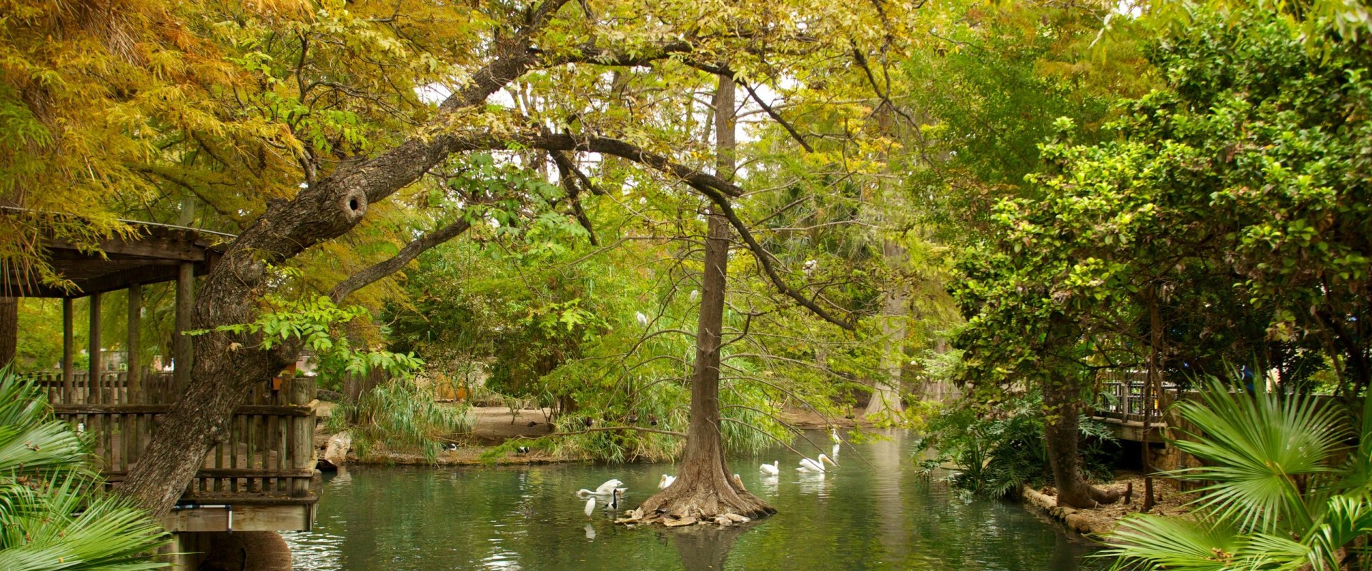 Exploring the San Antonio Zoo & Aquarium