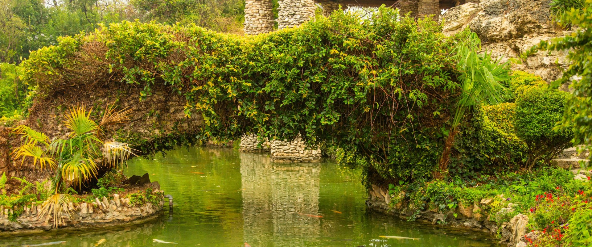 Exploring the Stunning Japanese Tea Gardens of San Antonio