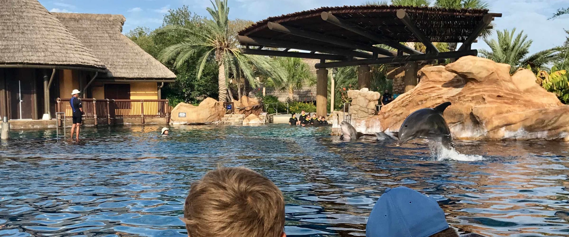 Explore San Antonio: A Look at SeaWorld San Antonio