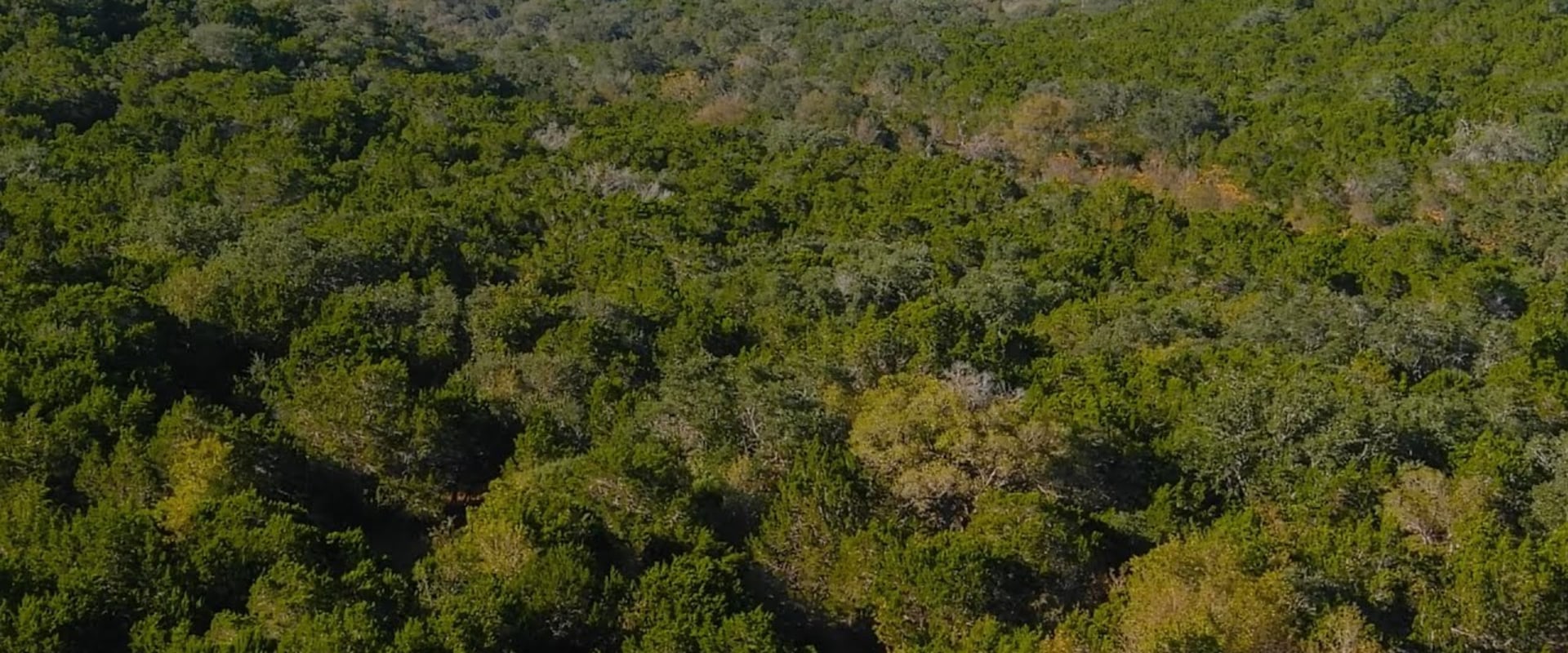 Exploring Government Canyon State Natural Area: An Outdoor Adventure in San Antonio
