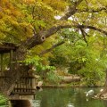 Exploring the San Antonio Zoo & Aquarium