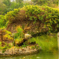 Exploring the Stunning Japanese Tea Gardens of San Antonio