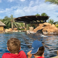 Explore San Antonio: A Look at SeaWorld San Antonio