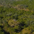 Exploring Government Canyon State Natural Area: An Outdoor Adventure in San Antonio