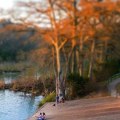 Exploring Kerrville, TX: A Day Trip from San Antonio
