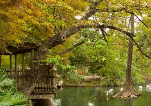 Exploring the San Antonio Zoo & Aquarium