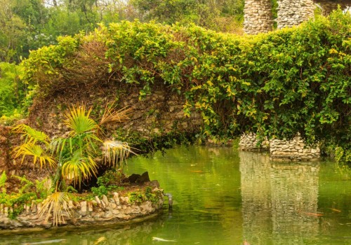 Exploring the Stunning Japanese Tea Gardens of San Antonio