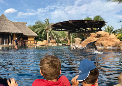 Explore San Antonio: A Look at SeaWorld San Antonio