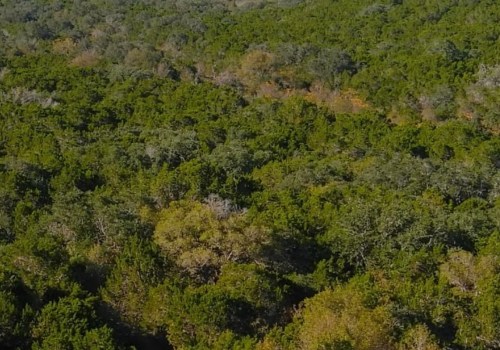 Exploring Government Canyon State Natural Area: An Outdoor Adventure in San Antonio